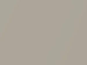 Mercury All Models Light Pewter Metallic 1981 11, M5838A - Scratch Repair