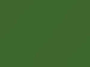 Chevrolet All Models Medium Green Metallic 1979 42, 8055, WA8055