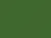 Chevrolet All Models Medium Green Metallic 1979 42, 8055, WA8055