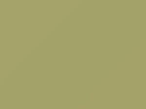 Jeep All Models Spring Green 1971 433