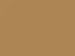 Chevrolet All Models Medium Beige 1979 37, 7140, WA7140