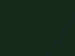 Dodge All Models Dark Green Metallic/Deep Sherwood Metallic 1975 AY70KG8, DT7776, G8 - Scratch Repair