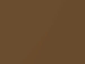 Toyota All Models Jamaica Brown Metallic 1973 418