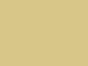 Toyota All Models Selene Yellow 1970 1502
