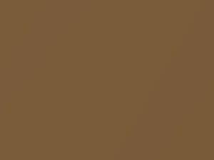 Buick All Models Musket Brown Metallic 1976 4836, 67, WA4836