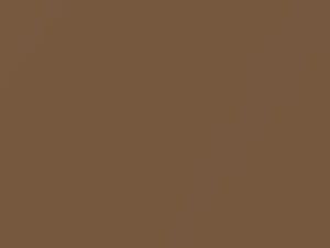 Fiat All Models Bronze Metallic 1975 798