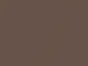 Nissan Stanza Wagon Sienna Brown Metallic 1987 733