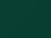 AMC All Models Polo Green 1956 P75