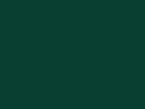 AMC All Models Polo Green 1956 P75 - Scratch Repair