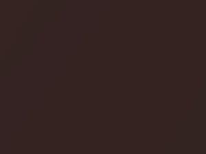 Chevrolet All Models Dark Briar Brown Metallic 1983 8321, W67, WA8321