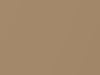 Dodge All Models Light Bronze Metallic 1969 AY2ET3, T3