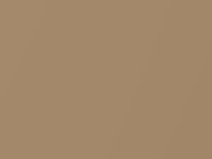 Dodge All Models Light Bronze Metallic 1969 AY2ET3, T3 - Scratch Repair