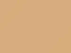 Mercury All Models Pastel Chamois 1979 5P, M5607A - Scratch Repair