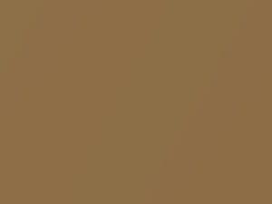 Oldsmobile All Models Buckskin Metallic 1977 4997, 63, WA4997 - Scratch Repair