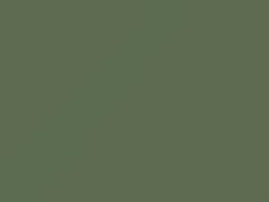 Ford All Models Palisade Green 1951 M14341