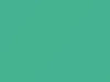 Austin Rover All Models Florida Green 1960 GN1