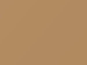 Nissan All Models Cameo Beige 1981 928 - Scratch Repair