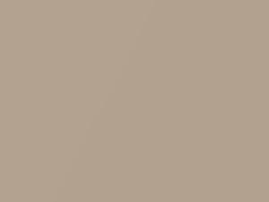 Dodge All Models Light Taupe Metallic 1989 AY96GL3, PL3 - Scratch Repair