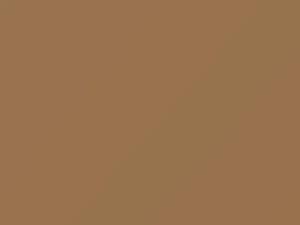 Volvo All Models Mojave Beige 1978 1221