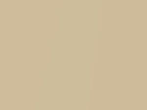 Cadillac All Models Canyon Yellow Pearl 1992 5303, 58, WA5303 - Scratch Repair