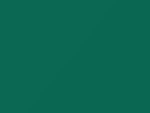 Ford All Models Shenandoah Green 1972 M5054A, S