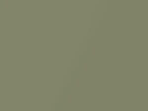 Chrysler All Models Surf Green Metallic 1969 AY2EF3, F3