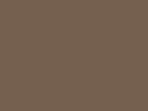 Saab All Models Cameo Beige 1981 161B - Scratch Repair