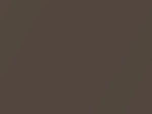 Toyota All Models Dark Brown Metallic 1983 4C4