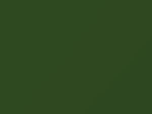 Chevrolet All Models Apple Green 1949 8376, WA8376