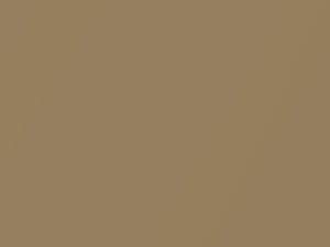 Volkswagen All Models Harvest Gold Metallic 1974 L99B