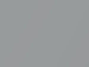 Mitsubishi All Models Italian Silver Metallic 1980 AC10629, W40A848