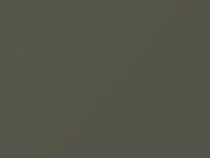 Toyota All Models Woodmist Gray 1980 103