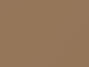 Nissan All Models Desert Beige 1985 131 - Scratch Repair