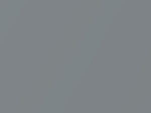 Honda All Models Serene Silver Metallic 1993 NH567M - Scratch Repair