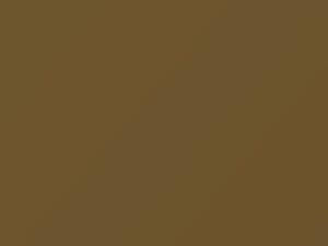 Chevrolet All Models Sandstone 1974 4528, 55, WA4528 - Scratch Repair