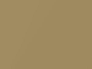 Toyota All Models Grampian Gold Metallic 1974 405, 443