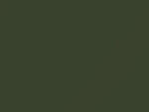 Mercedes-Benz All Models Green 1973 860