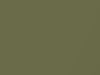 AMC All Models Willow Green Metallic 1969 P75