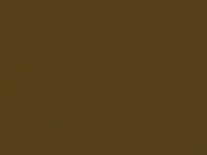 Ford All Models Dark Olive Gold Metallic 1974 6M, M5237A