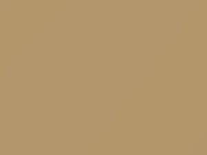 Chrysler All Models Sandalwood 1967 CAY1T1, X