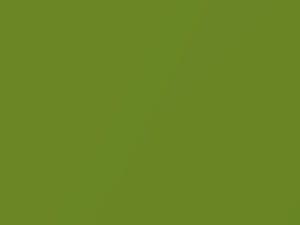 Mercury All Models Bright Lime Green Metallic 1982 7A, M5898A