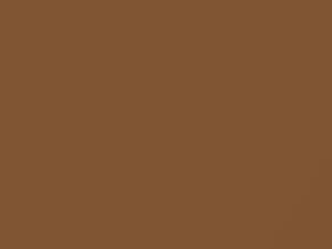 AMC All Models Burnished Bronze Metallic 1976 6E