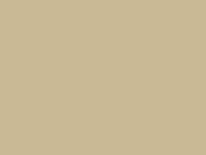 Austin Rover All Models Maltese White/Old English White 1966 WT3 - Scratch Repair