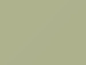 AMC All Models Crescent Green 1966 P17A - Scratch Repair