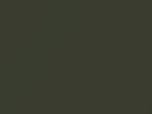Toyota All Models Tuscana Olive Metallic 1968 1300