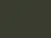 Toyota All Models Tuscana Olive Metallic 1968 1300
