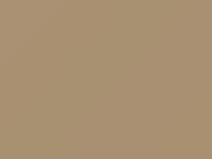 Dodge All Models Beige Sand 1984 DT6576, PL5 - Scratch Repair