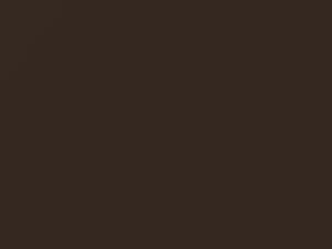 Nissan All Models Dark Brown Metallic 1986 015, 15