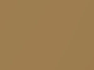 Ford All Models Unique Gold S/F Metallic 1976 54, M5409A - Scratch Repair