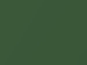 Volkswagen All Models Palma Green Metallic 1975 L95K